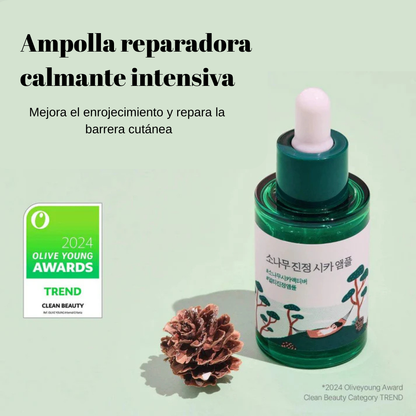 Round Lab - Pine Calming Cica Ampoule