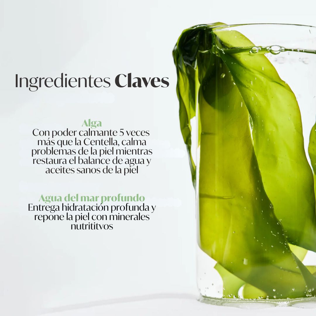 Biodance - Refreshing Sea Kelp Real Deep Mask