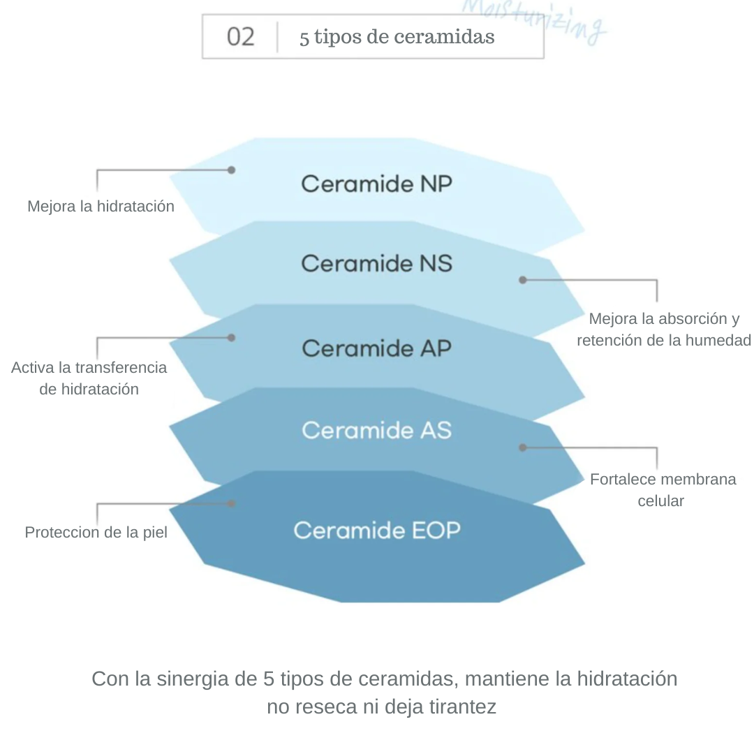 Round Lab - 1025 Dokdo Cleasing Milk