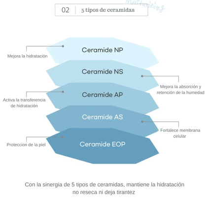 Round Lab - 1025 Dokdo Cleasing Milk