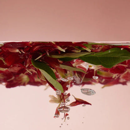 Round Lab - Camellia Deep Collagen Jelly Mask Cleanser