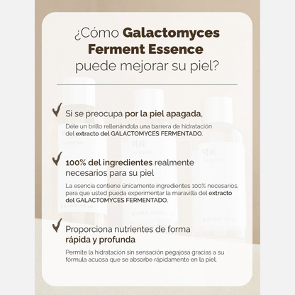 Mixsoon - Galactomyces Ferment Essence