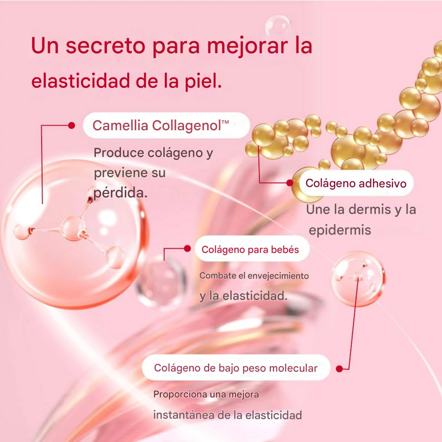 Round Lab - Camellia Deep Collagen Firming Cream