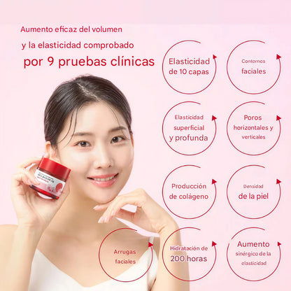 Round Lab - Camellia Deep Collagen Firming Cream